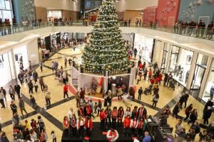 Best Time to Visit City centre Almaza in cairo